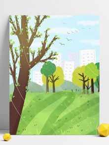 阳光下的森林与蓝天白云