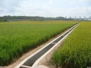 现代化农业机械整齐排列