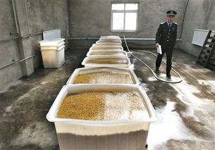 执法人员正在现场勘查农田中的铁器