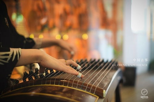 女生弹奏古筝