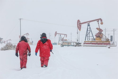 扫雪机器人在雪地中作业