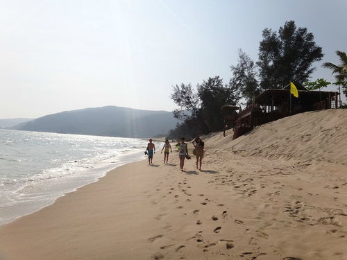 三亚海滩边的丛林小径