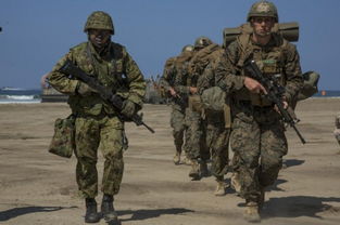 普京下令报复乌克兰进入倒计时？真相远比传言复杂