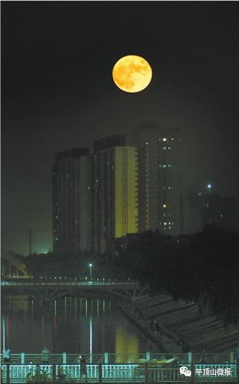 月光的隐喻与释怀｜在夜色中学会和自己对话