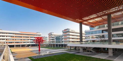 阳光透过窗户洒在空荡的教室里