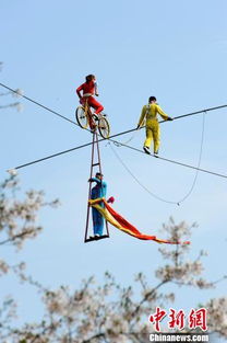 贵州小孩哥挑战高空云梯