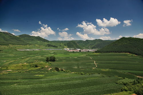 农田远景与蓝天白云交相辉映