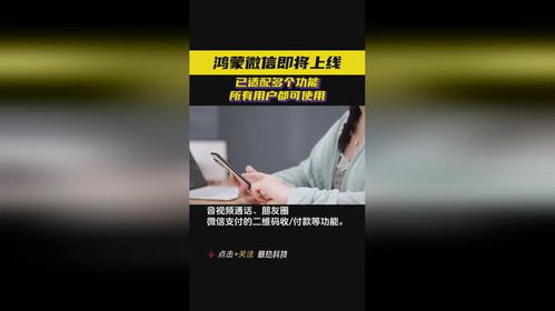 用户使用微信鸿蒙版截图