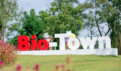 社区公园里的亲子互动场景