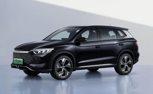 比亚迪宋家族热销