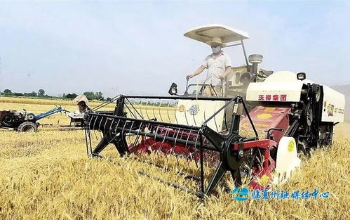 芒种节气：忙而不茫，播种希望的季节