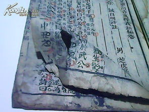 每日反思（2025.6.4）：文言问题引发的深度思考