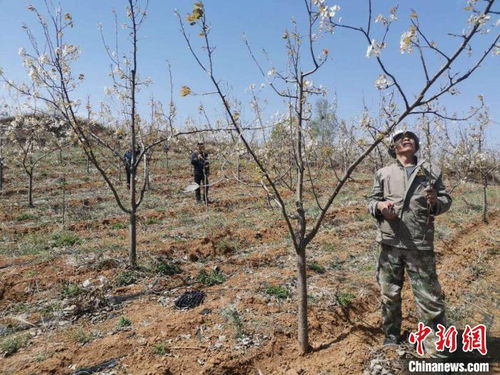 绿水青山间的“国之大者”：一位普通人的生态信仰与生活变迁