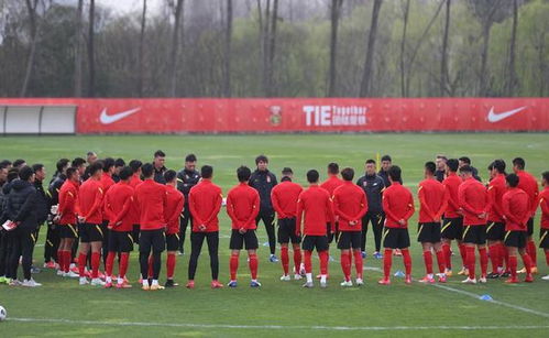 国足全队在训练场上合影