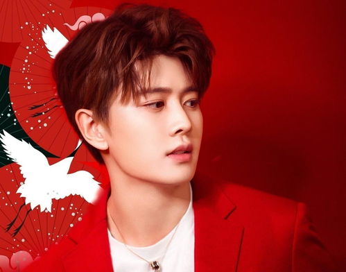 任嘉伦发量豹豹豹！网友热议：这是什么神仙发量？