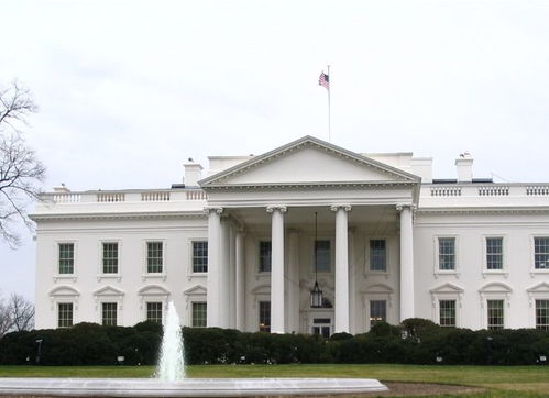 马斯克站在白宫台阶上