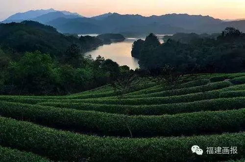 明道茶与问道酒：流淌千年的东方哲思