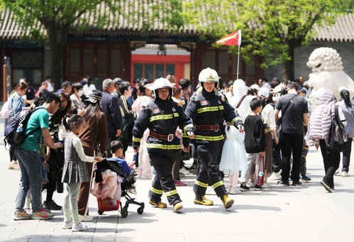 游客查看景区安全提示牌