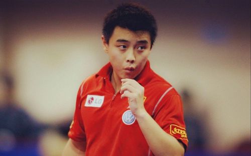 王皓竞聘北京先农坛体校教练员岗，奥运冠军齐聚一堂！