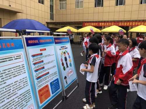 青少年参与网络辟谣活动