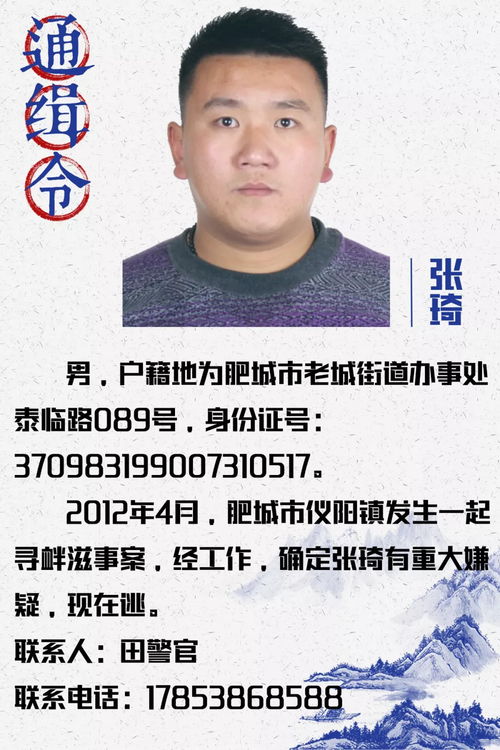 公安机关悬赏通缉令海报示意图