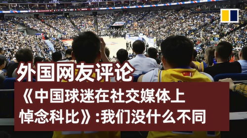 球迷在社交媒体评论区热烈讨论