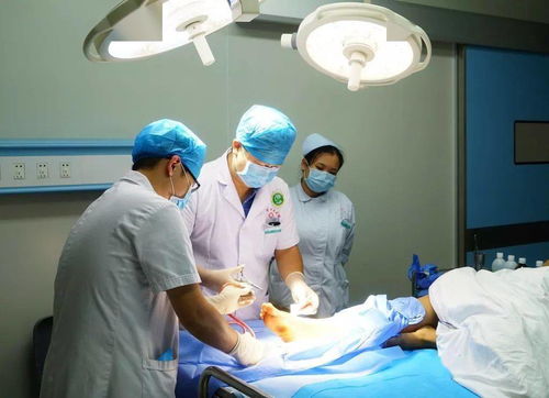 医生进行毒蛇咬伤抢救流程演示