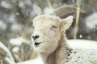 23岁医学生抗癌离世，遗体捐母校：临终前最想见妈妈一面