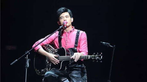 周杰伦演唱会现场粉丝欢呼场景