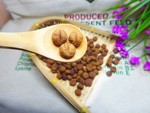 咖啡豆作为零食摆放在摊位上出售