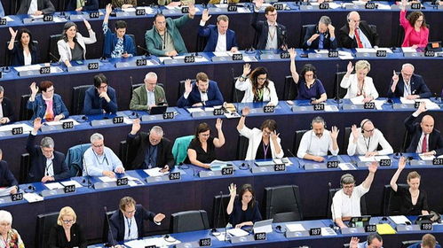 印度议会讨论女性安全法案现场照片