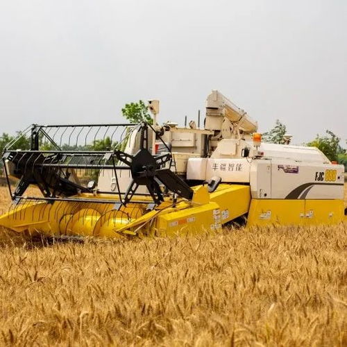 北斗导航无人收割机在麦田作业