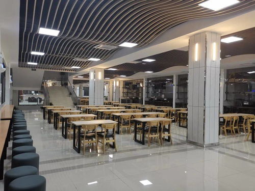 武大食堂突发伤人事件：嫌疑人因学业压力行凶，3人受伤引热议