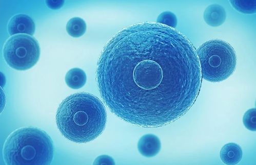 干细胞成骨诱导注意事项：一位科研工作者的亲身经历与心得