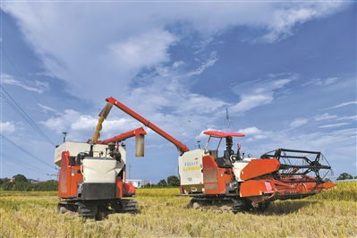 三夏农机大秀科技范：北斗导航收割机+云平台，田间上演未来农业大片