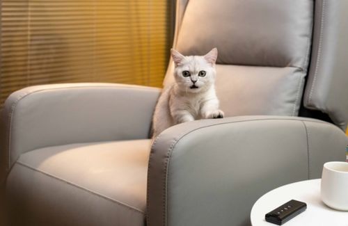 遇见文字打瞌睡，遇到沙发想躺平？我找到了属于自己的「懒人哲学」