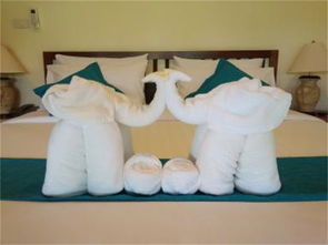 学生晚上在房间安静睡觉