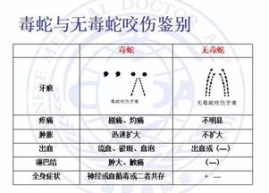 毒蛇咬伤急救流程示意图