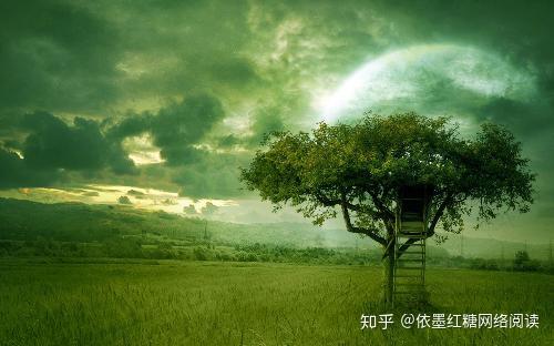 夜晚下雨中一棵大树遮住一人头顶