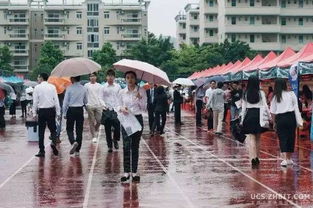 北理工珠海学院保安杖毙流浪猫事件引热议，校方回应惹争议！