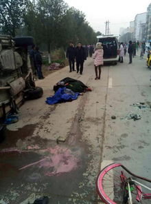 围观群众拍摄事件经过