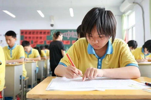 当最后一次听力考试遇上《起风了》，我泪目了