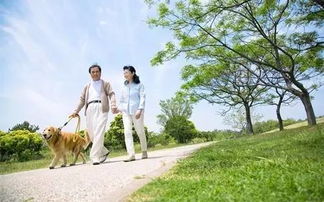 男女情侣在公园散步背影