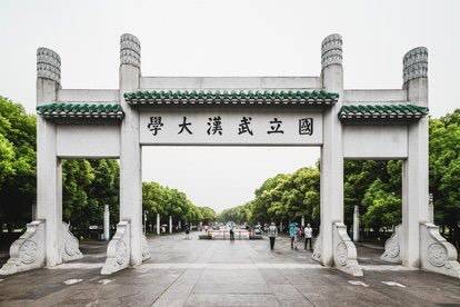 武大学生食堂行凶案：一场不该发生的悲剧背后