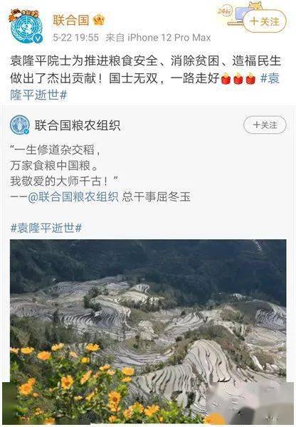 社交平台网友评论截图