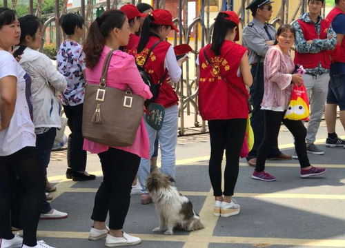 身穿旗袍的家长们站在考场外为考生加油