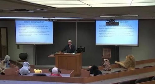 学生在电脑前认真写作