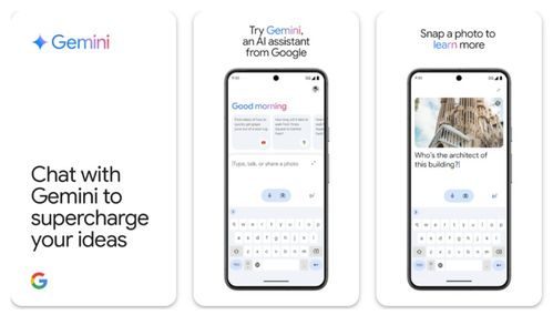 Gemini AI搜索界面示意图