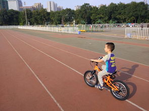 学生是变化发展的：从身心互补到全面成长的教育启示