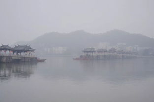 七律·秋江感怀：一段心灵与自然的对话